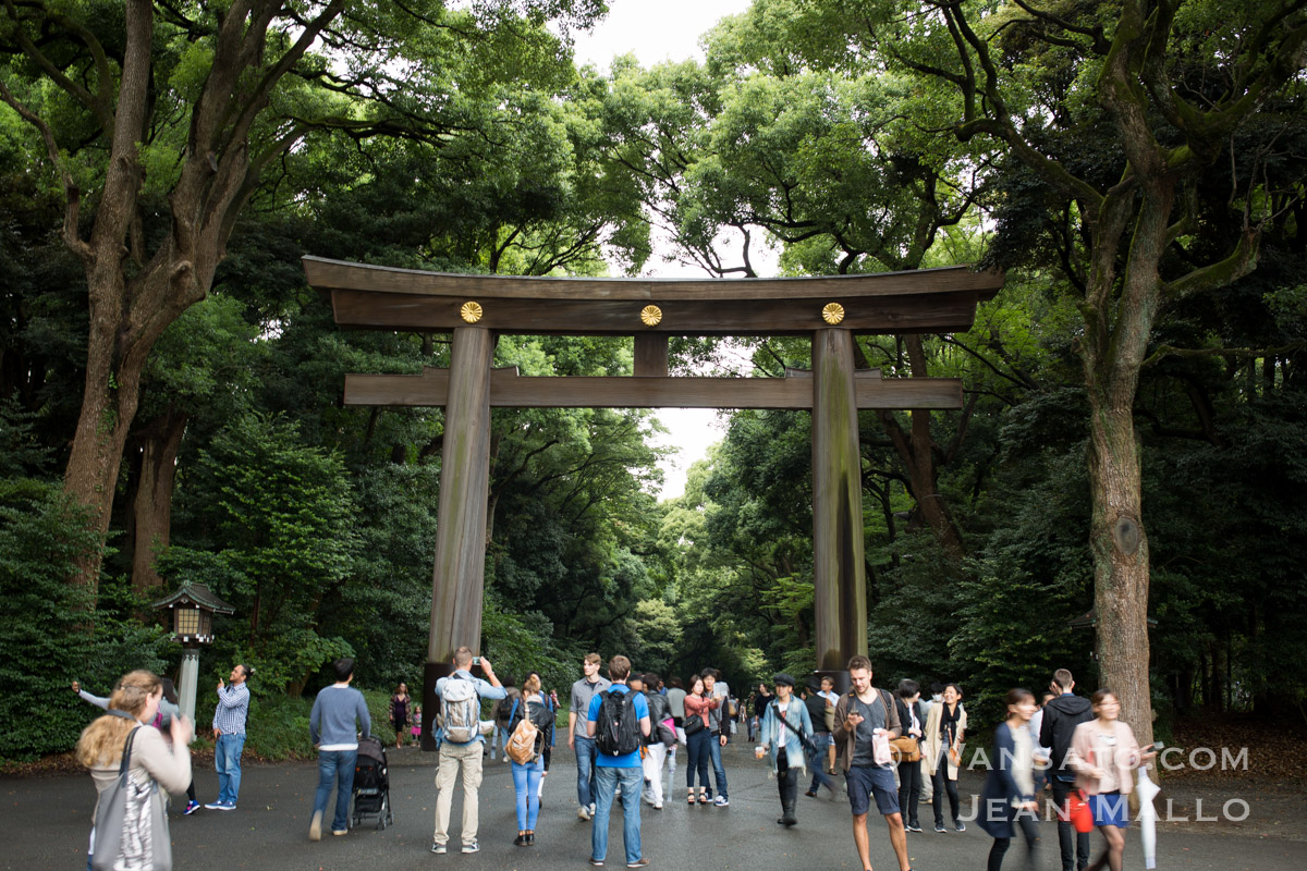 Japon - Le Torii à l'entrée du sanctuaire Meiji-Jingū à Tokyo
