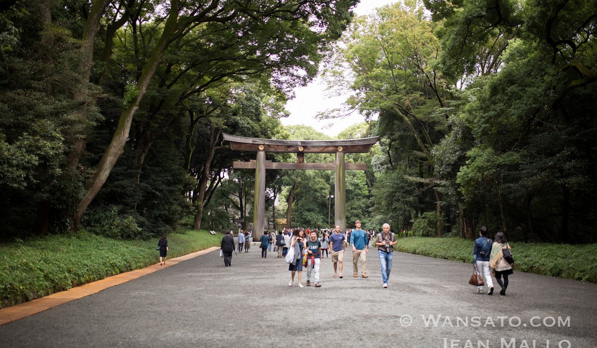 Japon – Le Torii à L’entrée Du Sanctuaire Meiji-Jingū à Tokyo