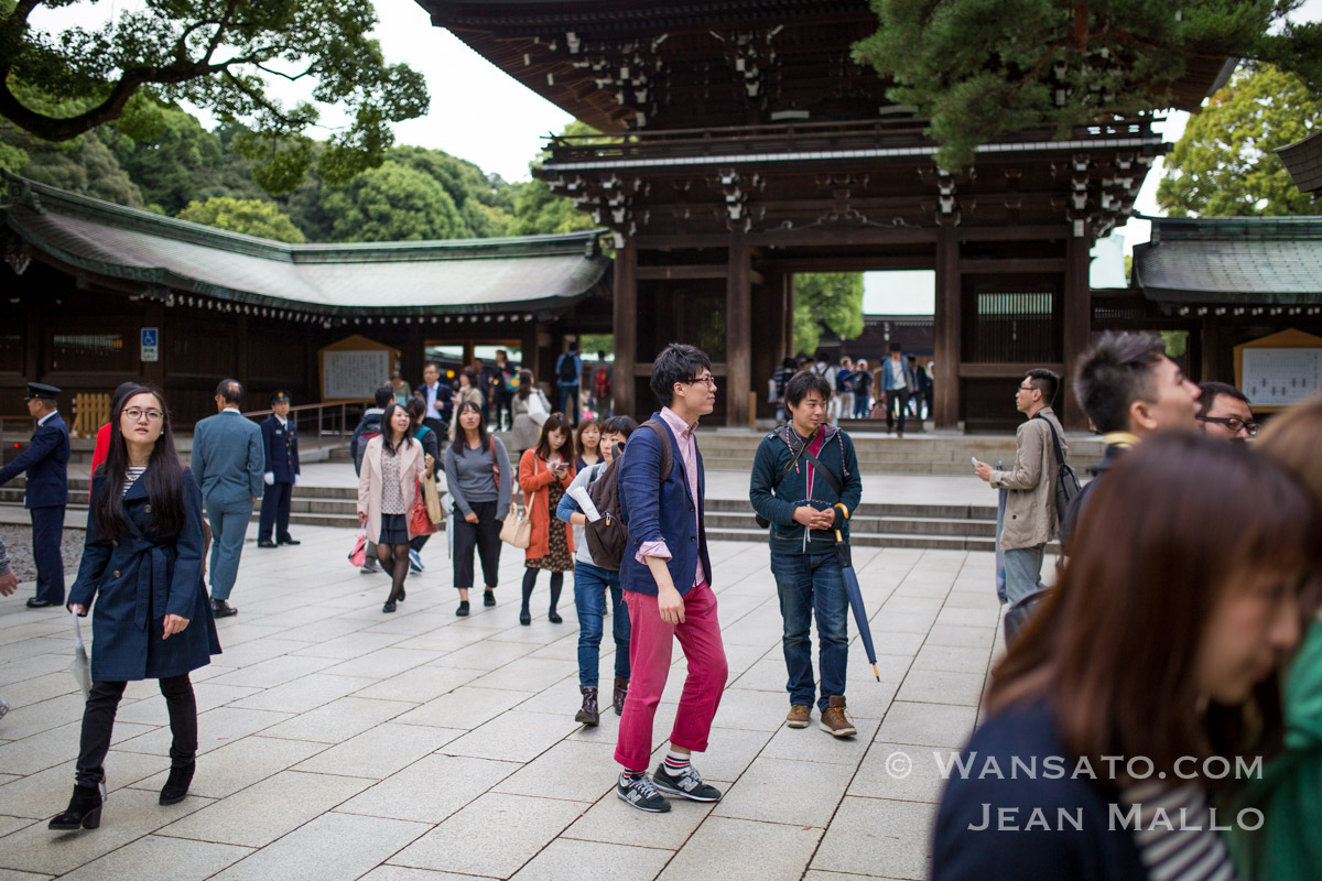 Japon - Touristes dans le sanctuaire de Meiji-Jingū à Tokyo