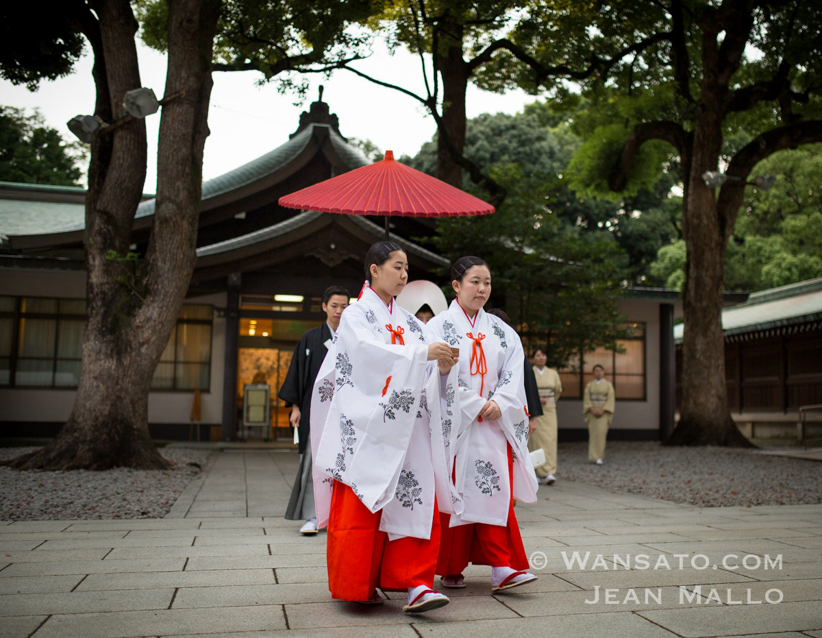 Japon - Mariage dans le sanctuaire de Meiji-Jingū à Tokyo