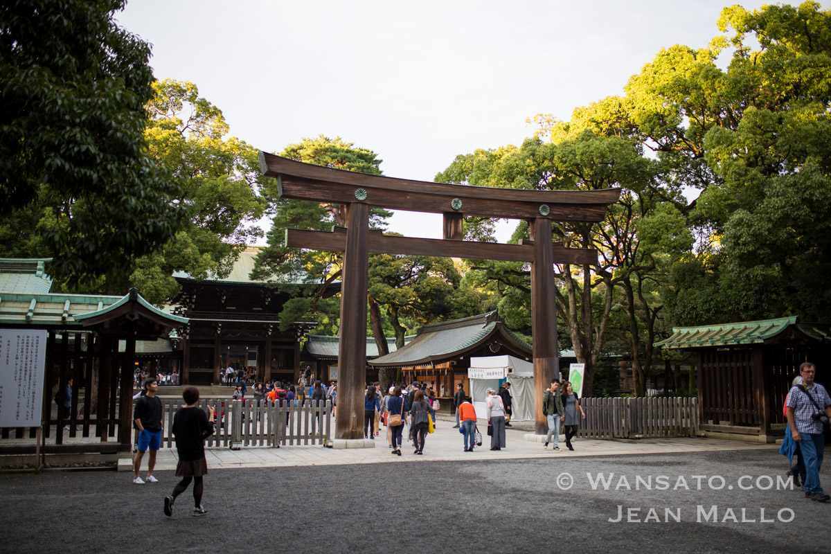 Japon – Le sanctuaire de Meiji-Jingū à Tokyo