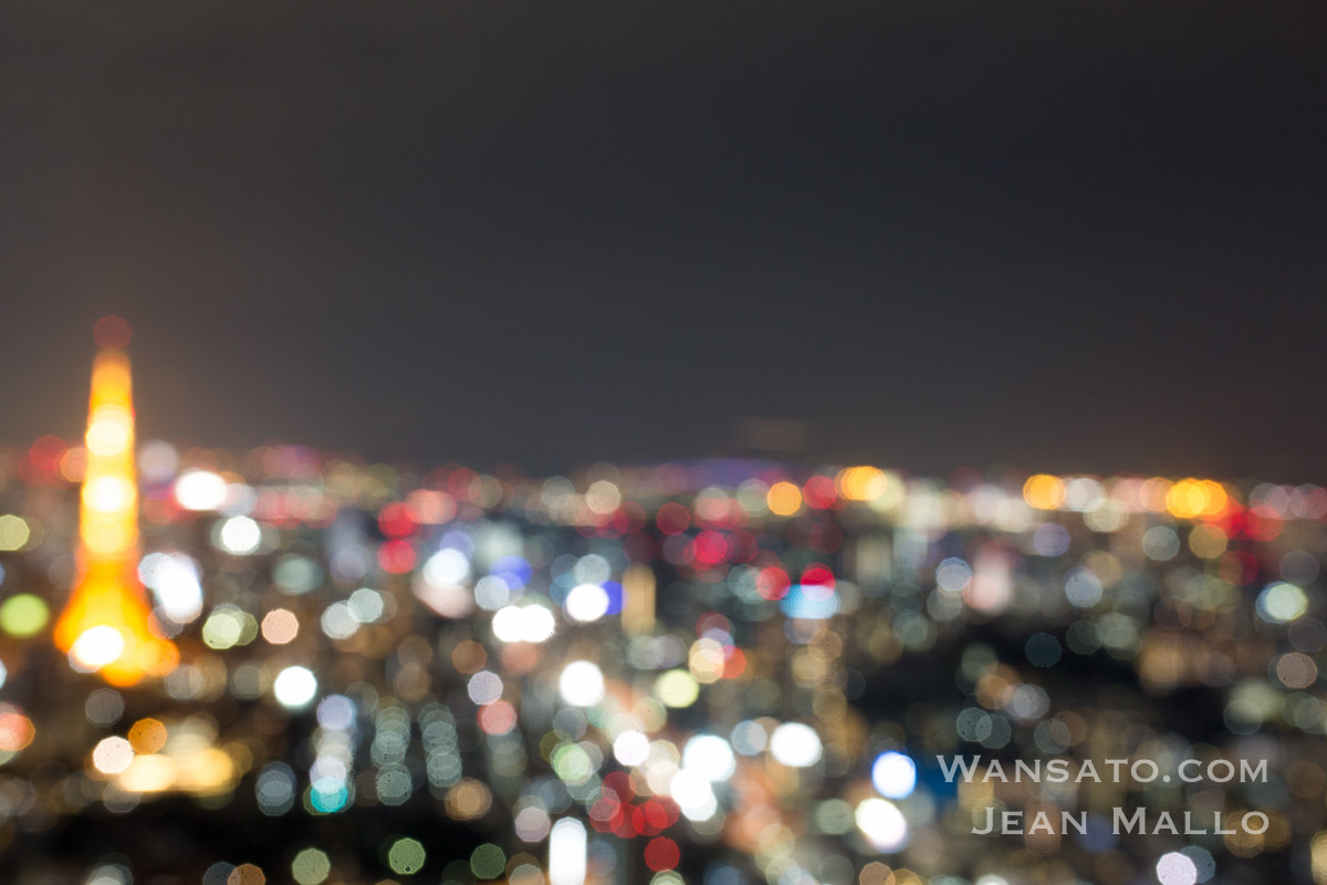 Japon - La Tokyo Tower vue depuis la Mori Tower