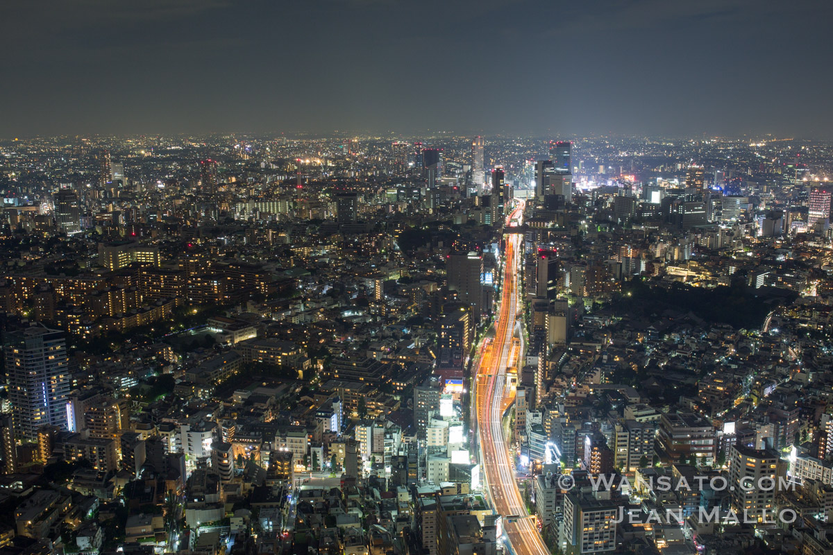 Japon - Vue depuis la Mori Tower à Tokyo
