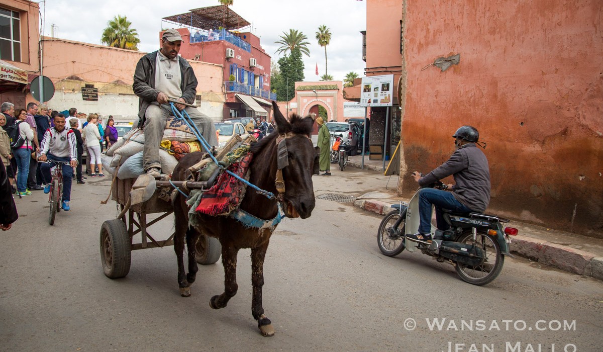 Maroc – Dans Les Rues De Marrakech