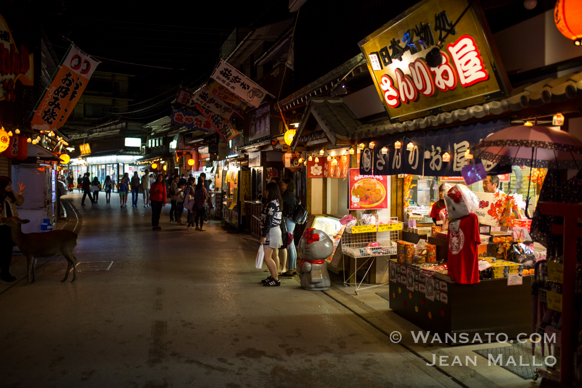 Japon - Dans les rues de Miyajima de nuit