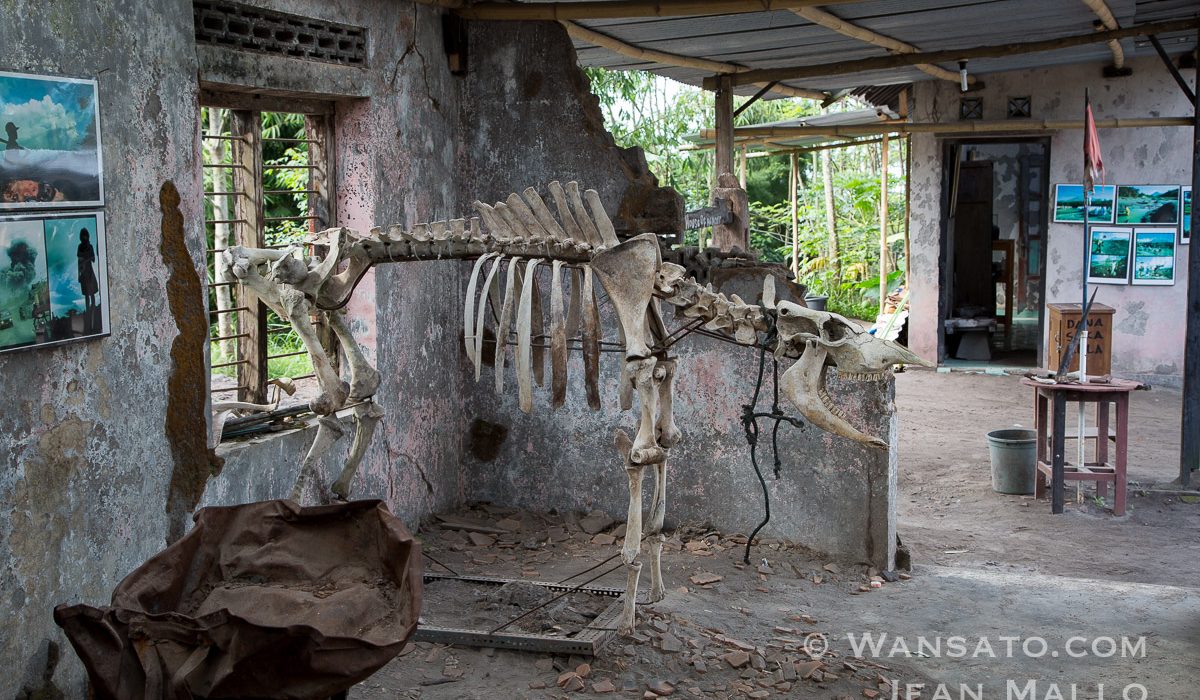 Indonésie - Un Village Abandonnée Près Du Mont Merapi