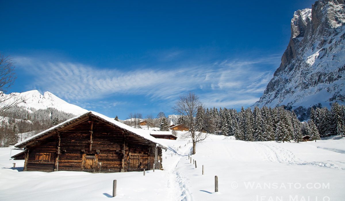 Suisse - Au Pied Des Montages à Grindelwald