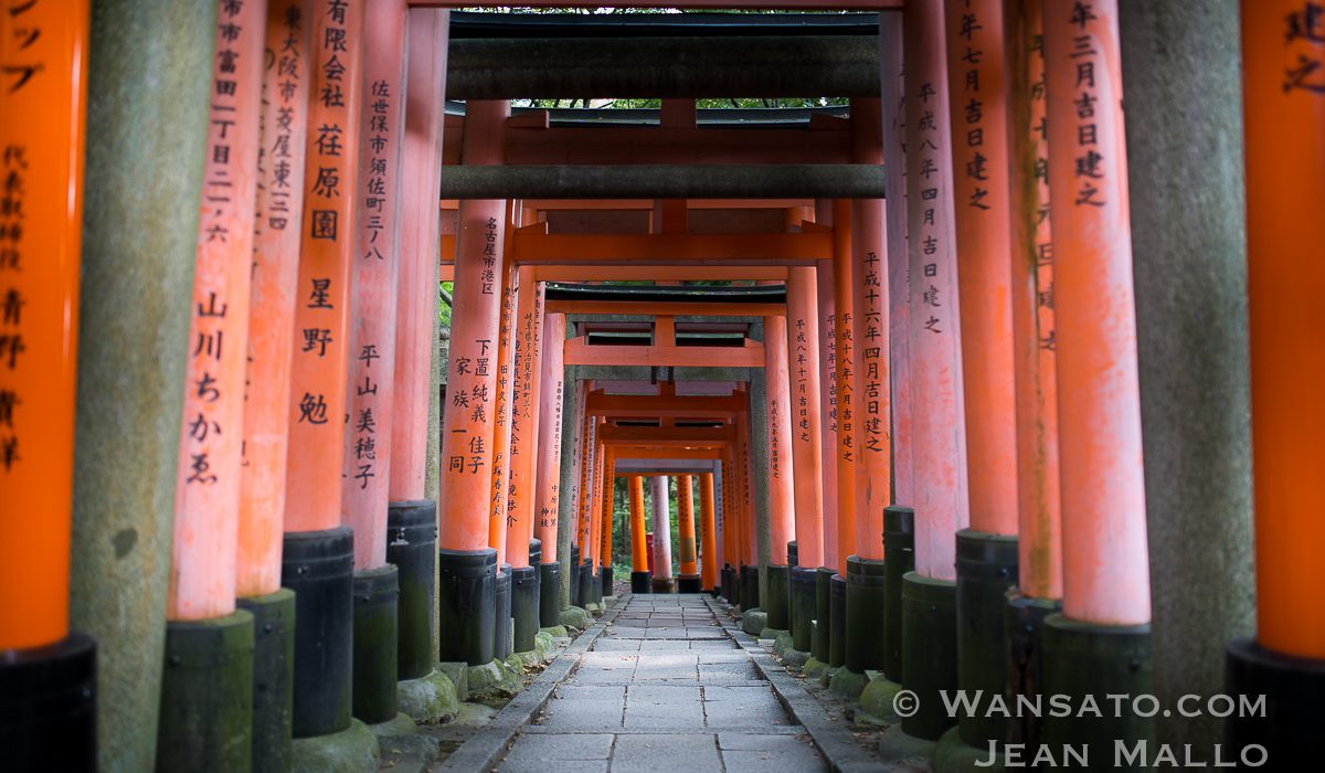 Portfolio - Le Sanctuaire Fushimi Inari