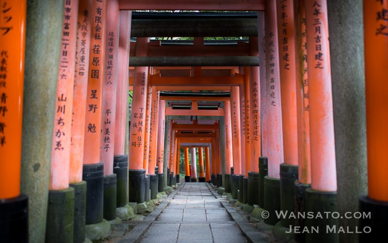 Portfolio - Le Sanctuaire Fushimi Inari