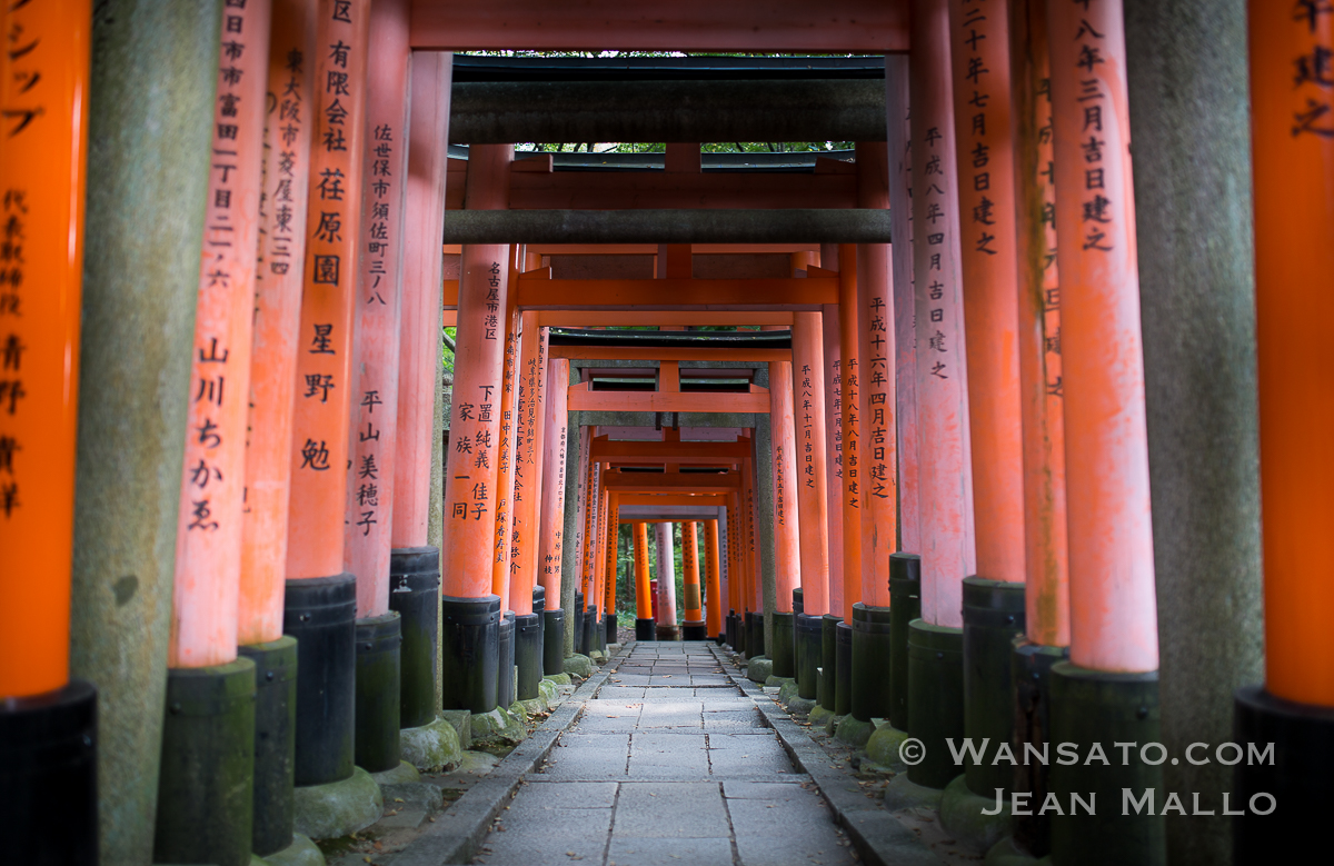 Portfolio - Le sanctuaire Fushimi Inari