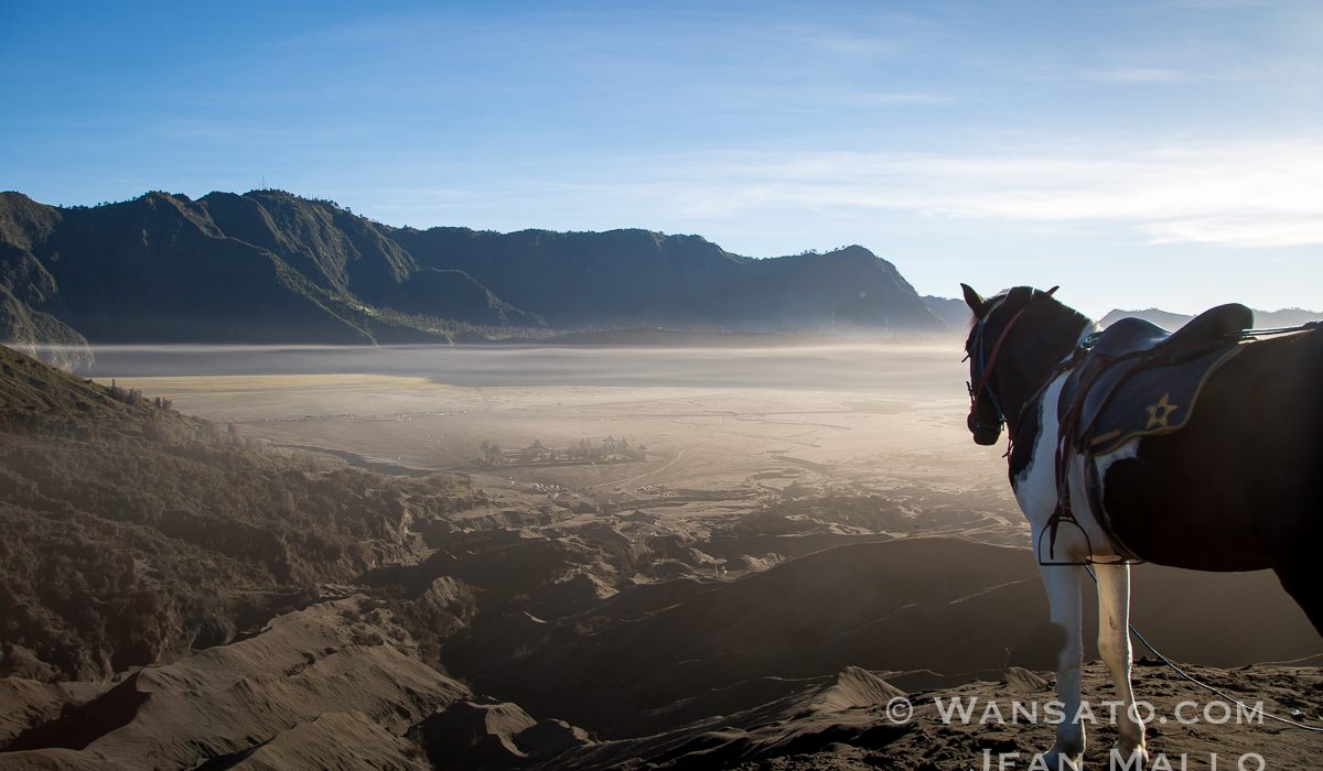 Portfolio - Au sommet du mont Bromo