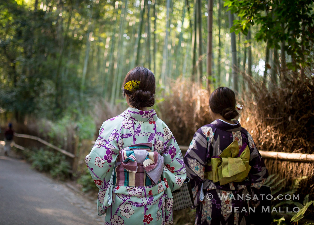 Portfolio - Bambouseraie d’Arashiyama