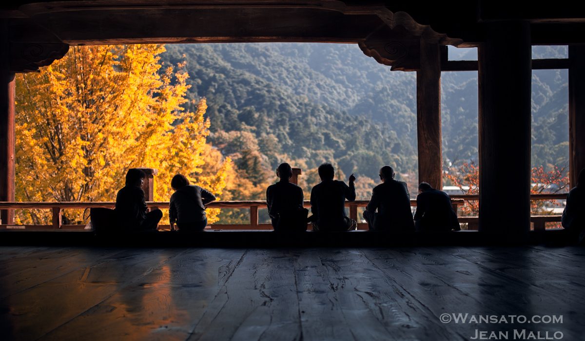Portfolio - Le temple Senjokaku